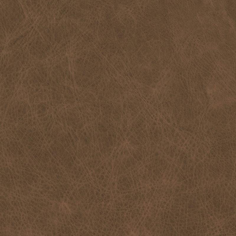  Wildlife | Rindleder umbra brown