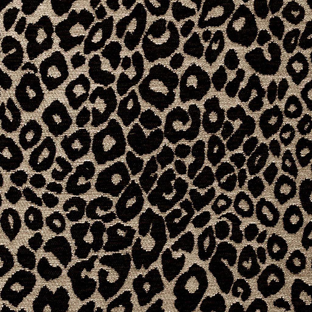 Panthera serengeti