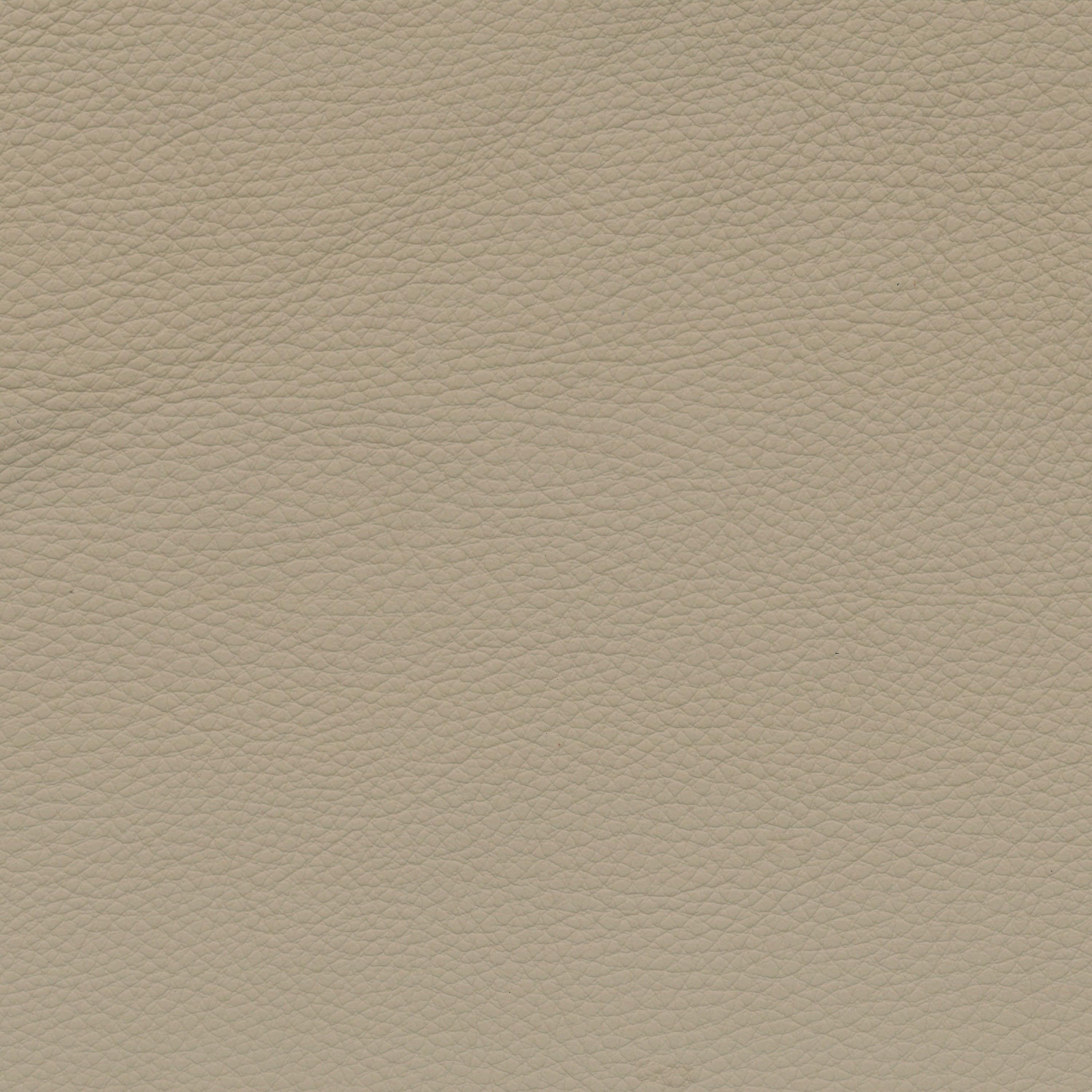 BMW Leder | Dakota creambeige V2