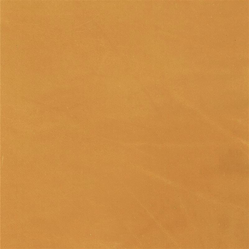  Verginia | Pullup gold orange