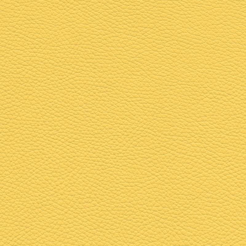  Frisco | Echtes Rindsleder lemon yellow