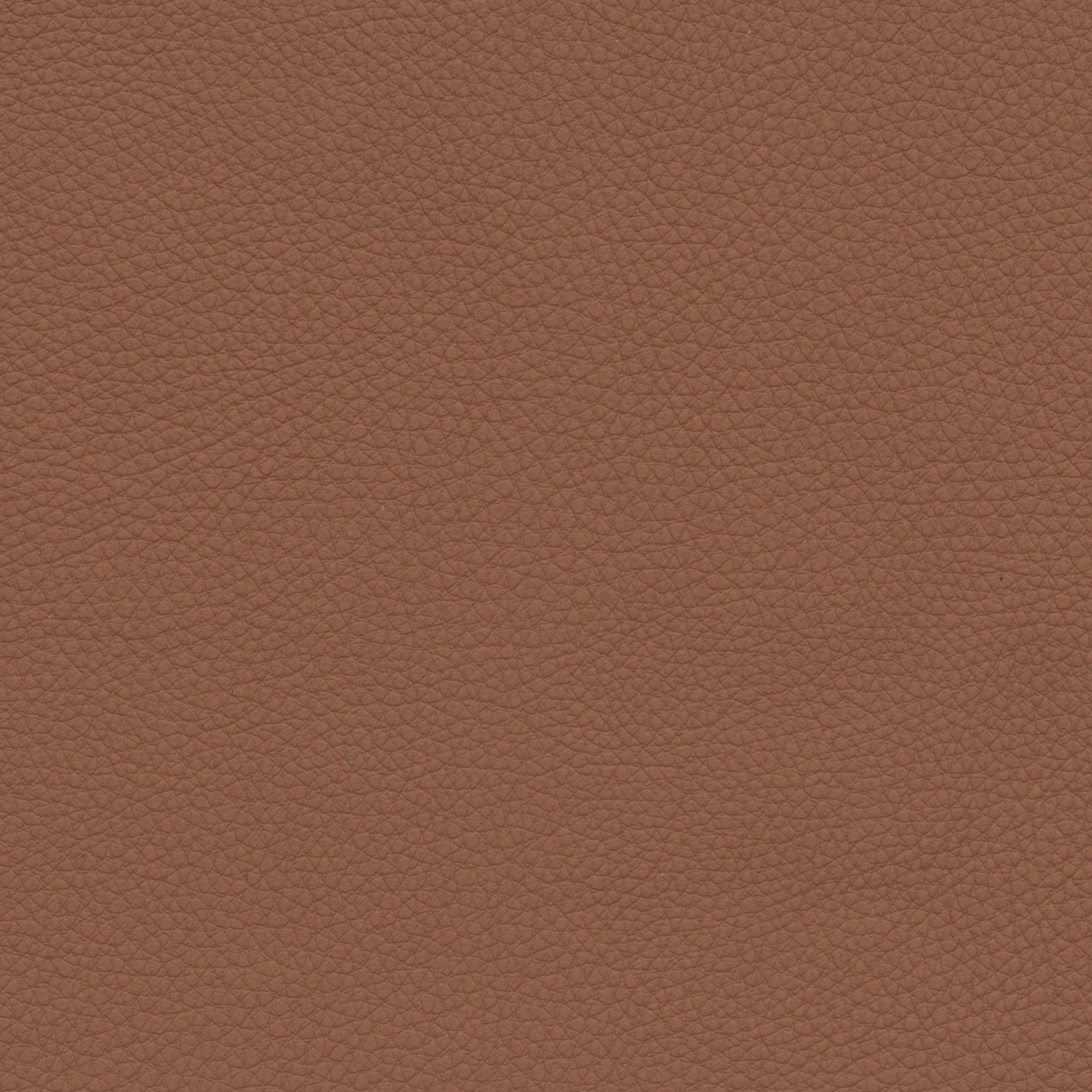  BMW Leder | Dakota cognac V2