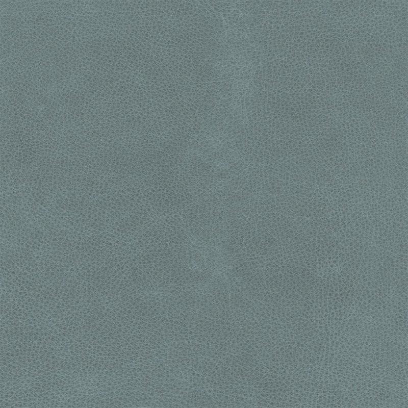  Mojave | Büffelleder blue