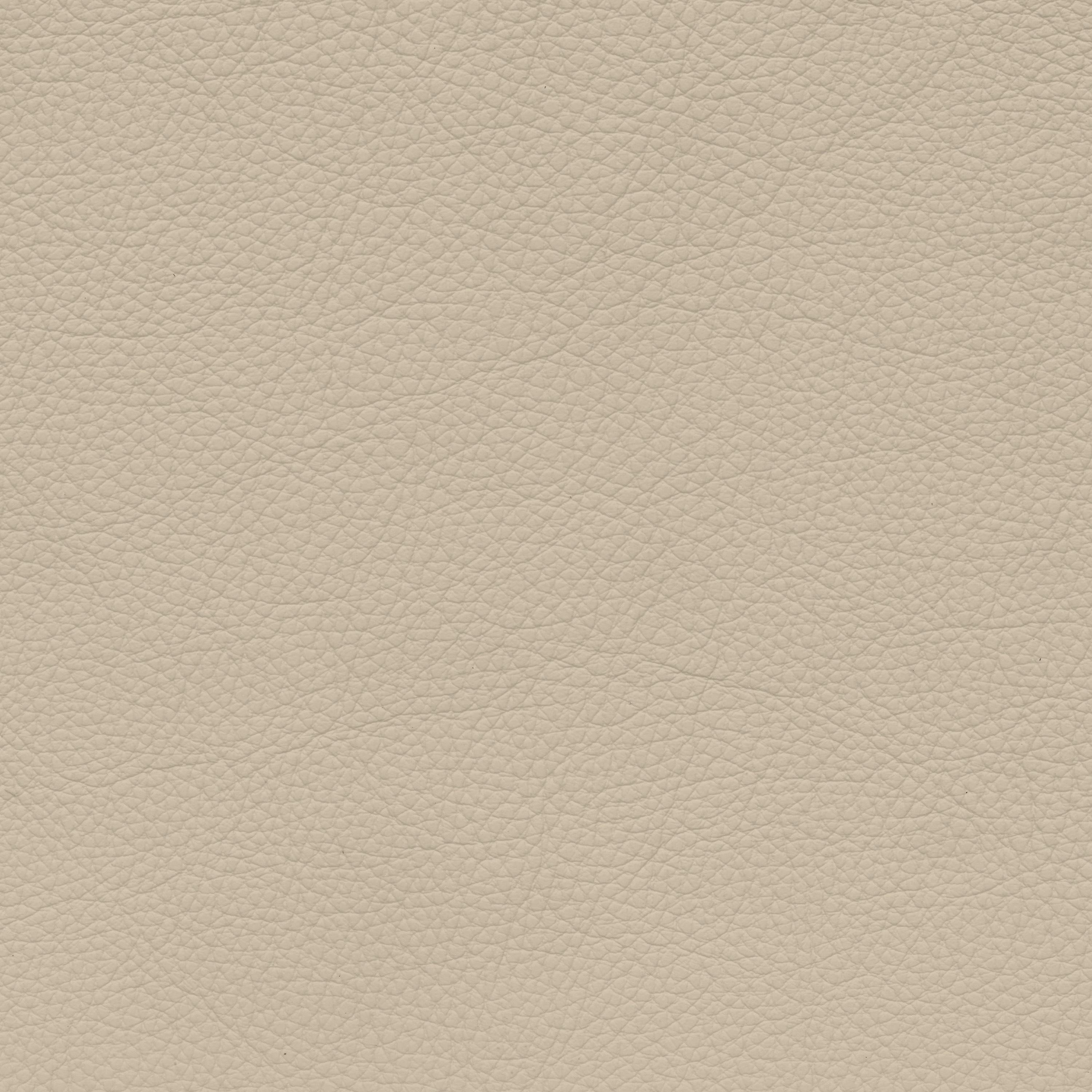  BMW Leder | Dakota creambeige
